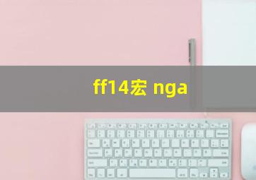 ff14宏 nga